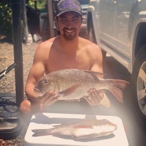 Meet your Posher, Sayer